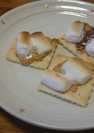 クラッカーで焼きマシュマロ-レシピのメイン写真