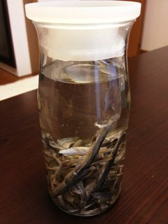 水で一晩置くだけの煮干しのダシ-レシピのメイン写真