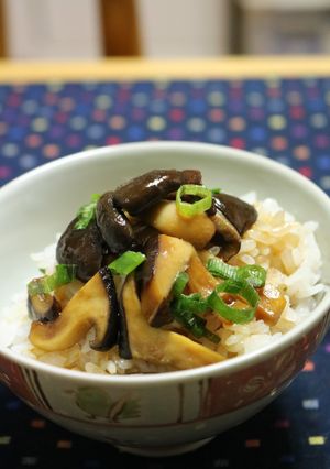 市販の焼肉のタレで！本しめじ丼-レシピのメイン写真