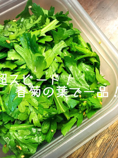 超スピード!春菊の葉で一品!-レシピのメイン写真
