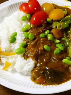黒ニンニク入り健康カレー-レシピのメイン写真