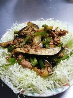 挽き肉と茄子とピーマン炒め-レシピのメイン写真