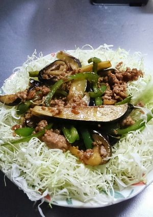 挽き肉と茄子とピーマン炒め-レシピのメイン写真