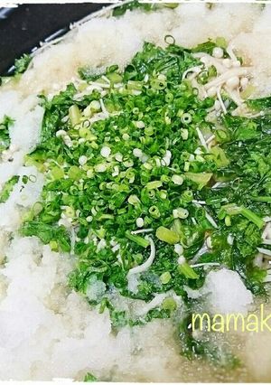 たっぷり野菜のみぞれ鍋☆-レシピのメイン写真