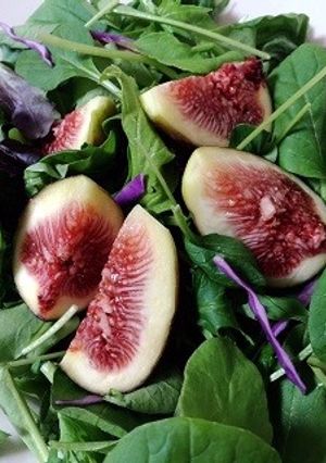 いちじくたっぷり綾野菜サラダ-レシピのメイン写真