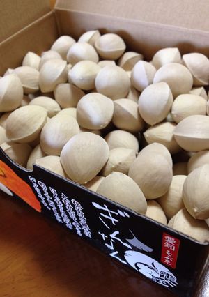 もう失敗しないよ！ぎんなんの殻の割り方-レシピのメイン写真