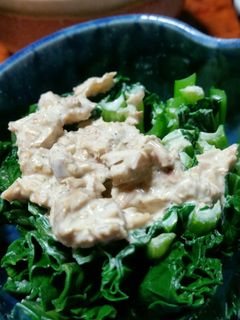 青菜の鰹節マヨネーズ和え-レシピのメイン写真