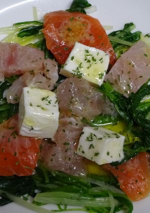 セリとマグロのカルパッチョ-レシピのメイン写真