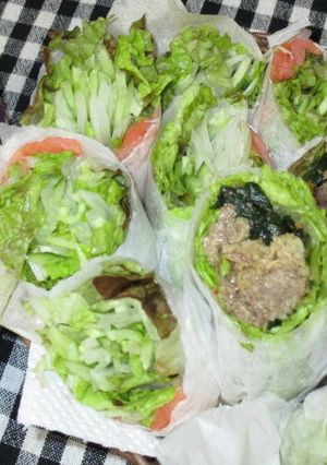 片手で生野菜サラダ - 生春巻き --レシピのメイン写真