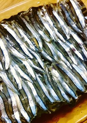 きびなごの昆布締め-レシピのメイン写真