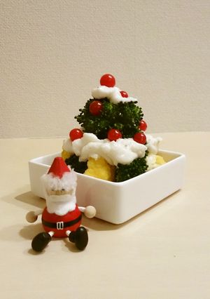 ぷるぷるドレッシングでクリスマスサラダ-レシピのメイン写真