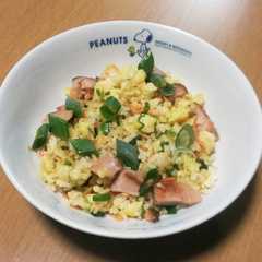 創味シャンタンDXで鮭チャーハン-レシピのメイン写真