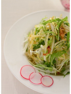 さっぱりヘルシー♪大根と水菜のサラダ-レシピのメイン写真