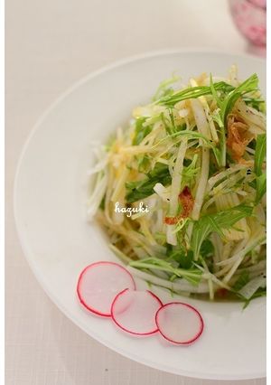 さっぱりヘルシー♪大根と水菜のサラダ-レシピのメイン写真
