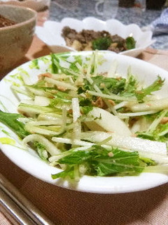 大根・水菜&鮭フレークのマヨポンサラダ-レシピのメイン写真