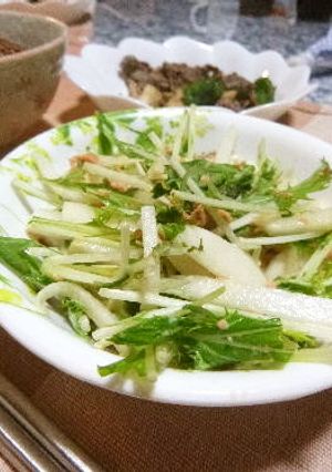 大根・水菜&鮭フレークのマヨポンサラダ-レシピのメイン写真
