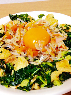 風邪を撃退☆大根葉のビタミンたっぷり丼-レシピのメイン写真