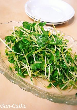 豆苗のパパっとサラダ-レシピのメイン写真