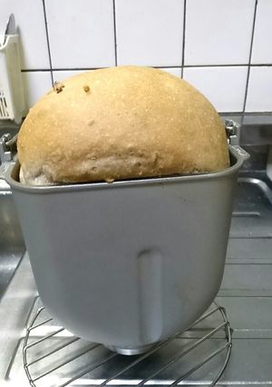 HBで自家製天然酵母のクルミ食パン-レシピのメイン写真