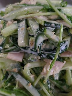水菜とキュウリのツナマヨ和え-レシピのメイン写真