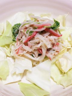 大根と豆苗のサラダ-レシピのメイン写真