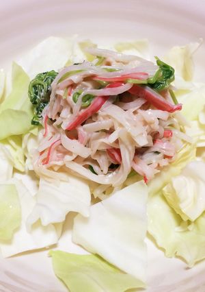 大根と豆苗のサラダ-レシピのメイン写真