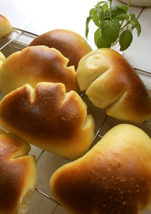 私の好きなクリームパン-レシピのメイン写真