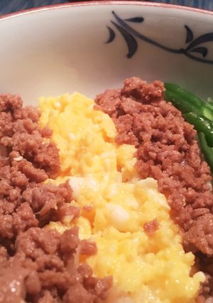 腹ペコ男子パクパク！三色丼☆-レシピのメイン写真
