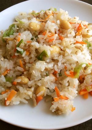 大量人参、若鶏胸挽肉とゴボウの混ぜ込ご飯-レシピのメイン写真