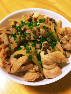 しょうが焼き丼-レシピのメイン写真
