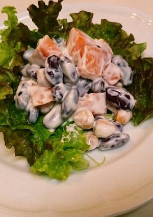 豆と柿のサラダ-レシピのメイン写真