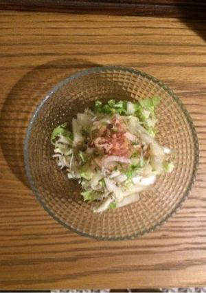 白菜ちりめんサラダ-レシピのメイン写真