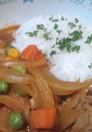 手軽に作るporc stroganoff-レシピのメイン写真