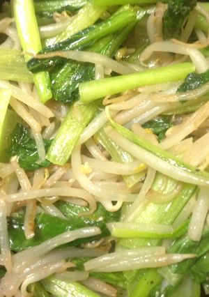 鶏油(チーユ)が決め手！小松菜もやし炒め-レシピのメイン写真