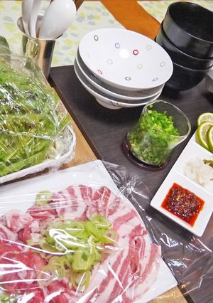 BRITA豚バラ水菜野菜だし鍋-レシピのメイン写真