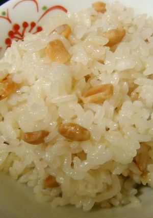 炒り大豆の醤油麹ごはん-レシピのメイン写真