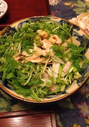 白菜と水菜のサラダ-レシピのメイン写真