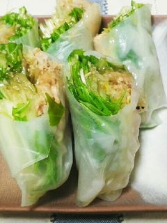 水菜・もやし・ツナの生春巻き-レシピのメイン写真