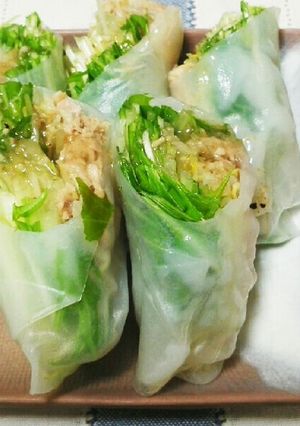 水菜・もやし・ツナの生春巻き-レシピのメイン写真
