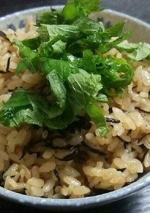 簡単梅ひじき炊き込みご飯-レシピのメイン写真