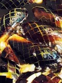 茄子の煮浸し-レシピのメイン写真