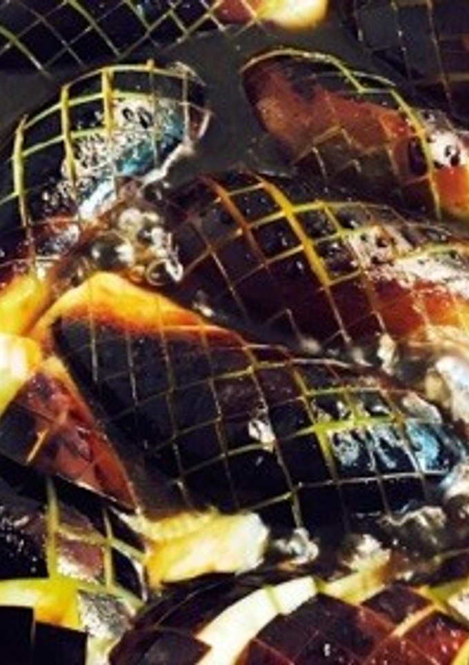 茄子の煮浸し-レシピのメイン写真