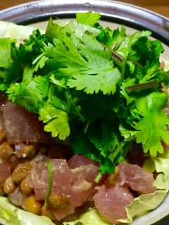 元魚屋が教える!パクチー好きのマグロ納豆-レシピのメイン写真