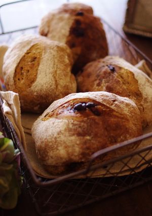 rustique au cafe-レシピのメイン写真