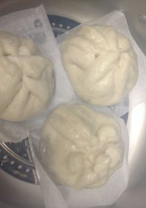皮から作る本格ジューシー肉まん-レシピのメイン写真