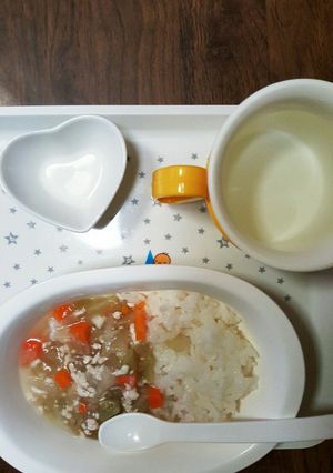 離乳食　野菜とお肉のキーマカレー風-レシピのメイン写真