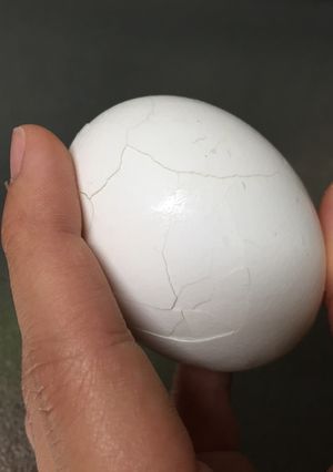 ゆで卵を片手で殻を外せる茹で方-レシピのメイン写真
