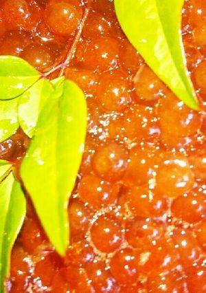 いくらの醤油漬け ~昆布風味~-レシピのメイン写真