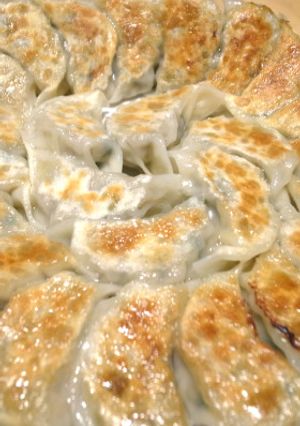 鍋貼餃子｜焼き餃子-レシピのメイン写真