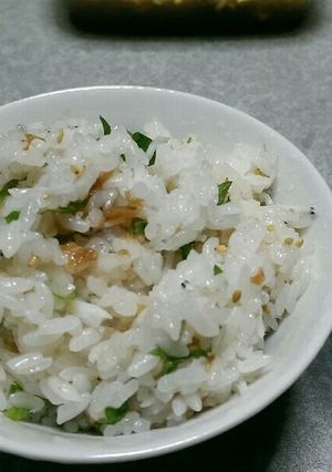 サッパリ梅しらすご飯-レシピのメイン写真